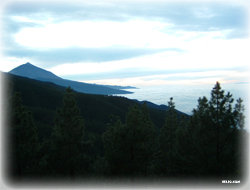 Fondo El Teide